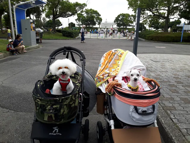 Garden Pier East Plaza