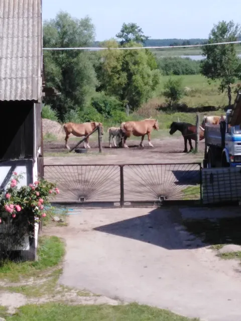 Książę Bogusław X Matelak A J