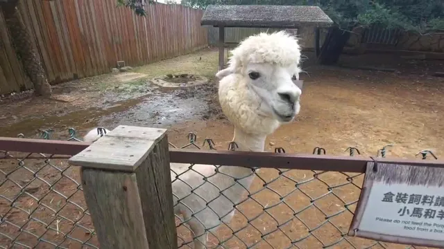Leofoo Village Visitor Center