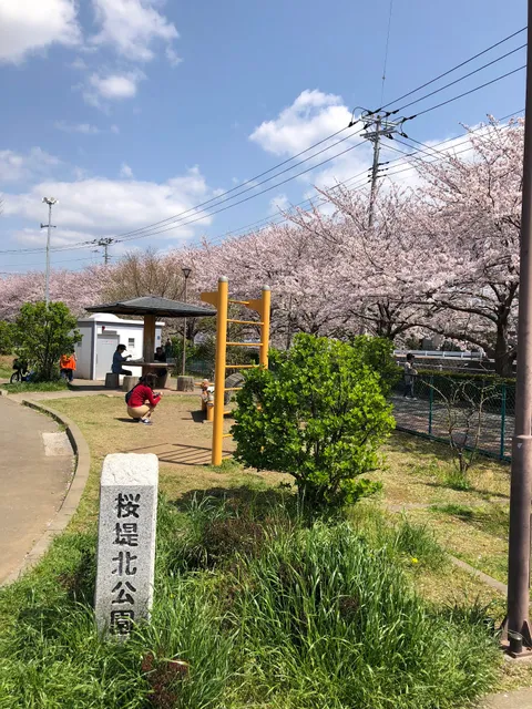 Sakurazutsumikita Park