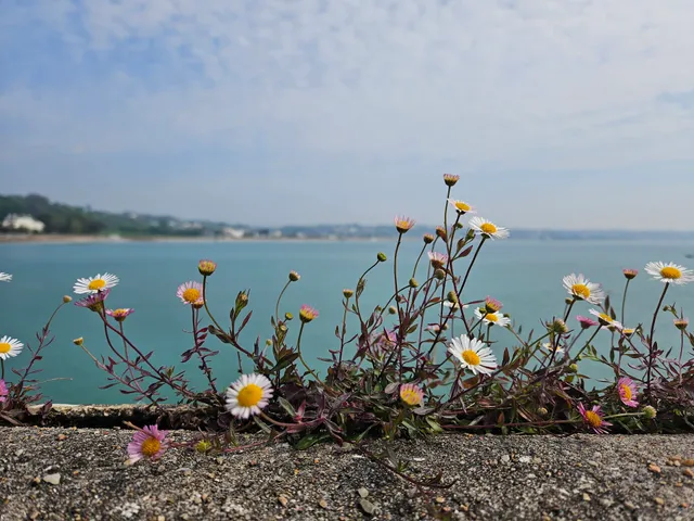 Maritime Museum & Occupation Tapestry Gallery