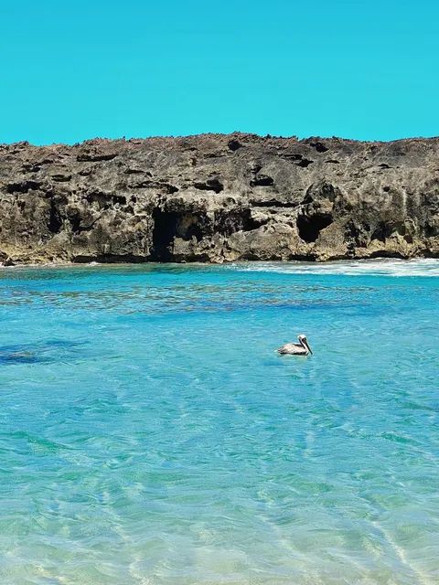 Reserva Natural de Manati