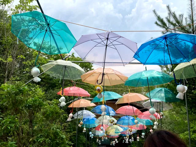 Iganosato Mokumoku Tedukuri farm