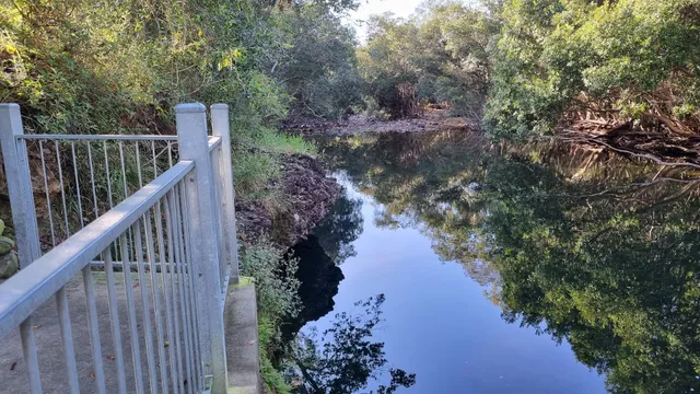 5 Mile Creek Swimming Hole