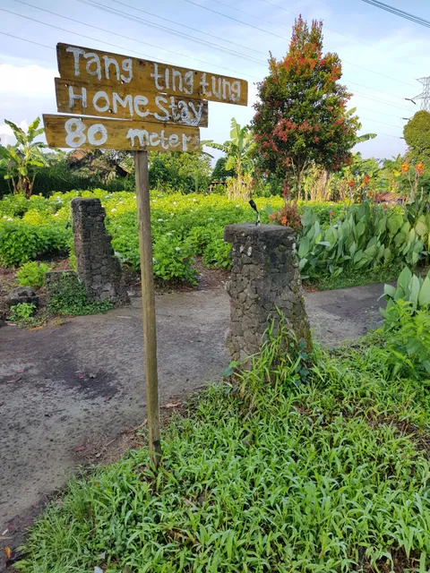 Tang, Ting, Tung Home Stay