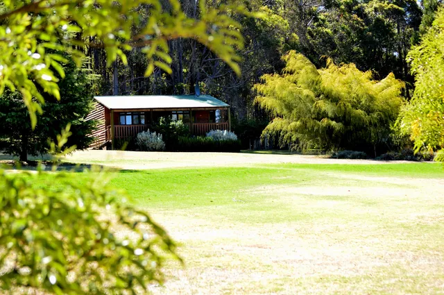 Diamond Forest Farm Stay