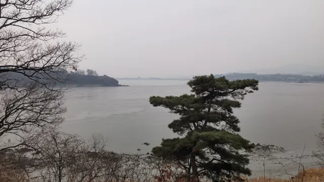 맛죽여주는동치미국수