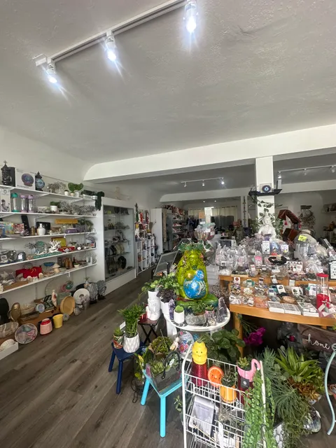 Moonlight Crystals & Earth