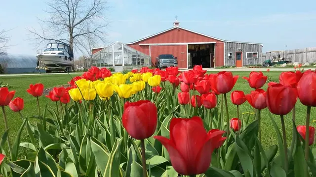 Grape Lakes Farm & Vineyard