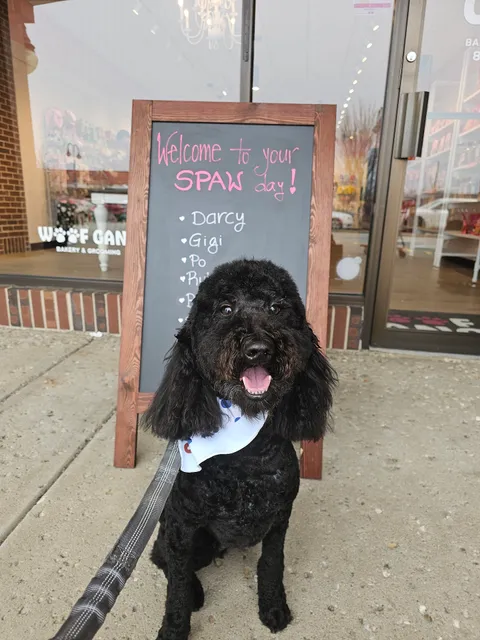 Woof Gang Bakery & Grooming Glenview