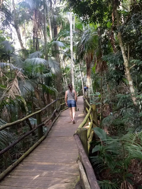 Trilha da Nascente do Riacho do Ipiranga