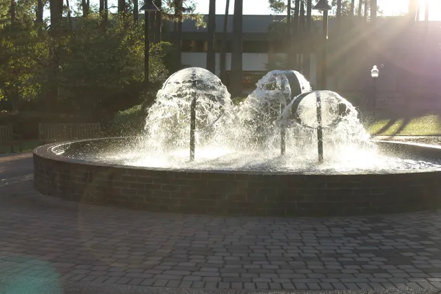 University of South Carolina Aiken