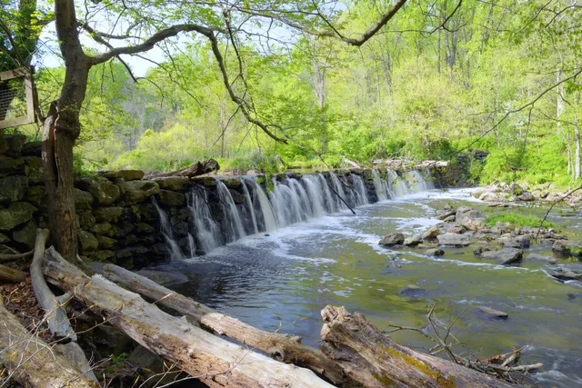Ridley Creek Waterfall
