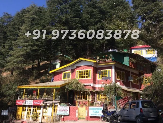 Mcleodganj Bed & Breakfast