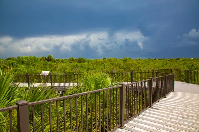 Pelican Island NWR Wildlife Viewing Area
