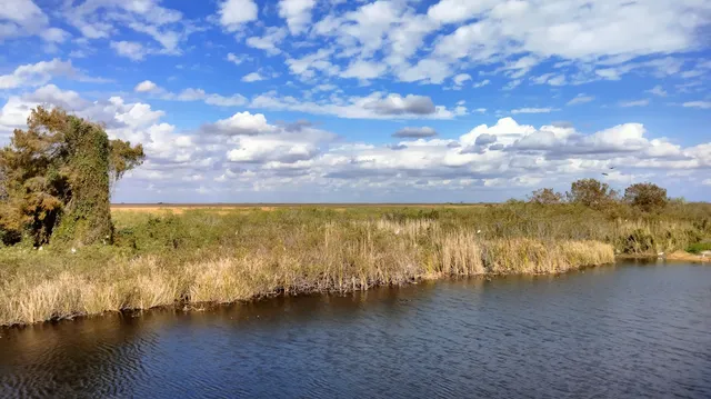 Francis S. Taylor Wildlife Management Area