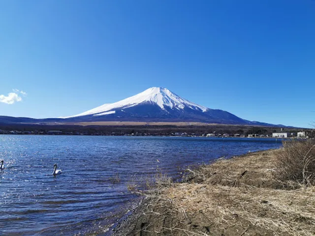 Lake Yamanaka