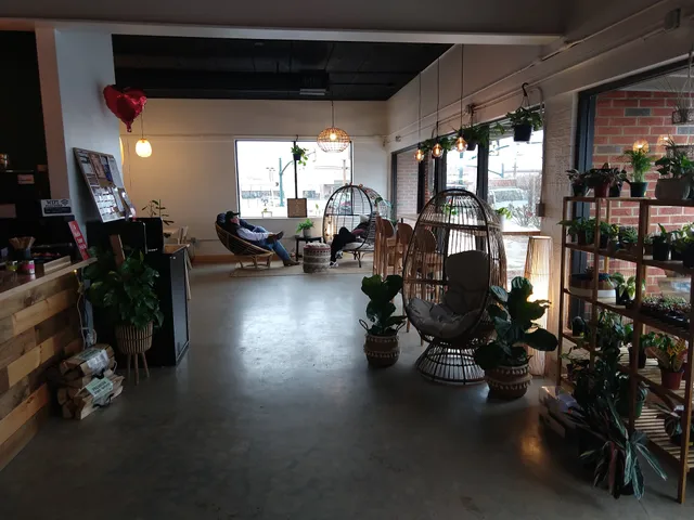 Cafe Conmigo - Wexford