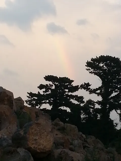 머루황토불갈비