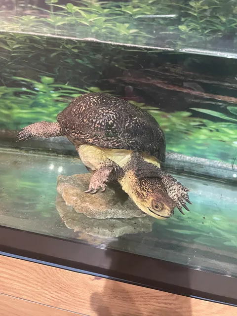 Pokagon State Park Nature Center