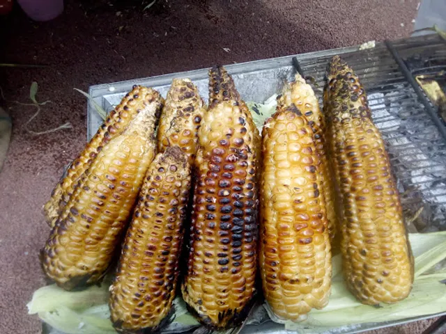 Elotes y Esquites "Al Grano"
