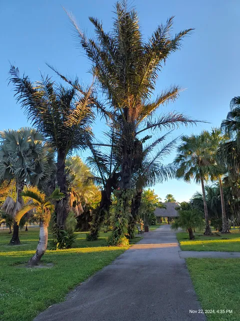Palmetum at Miami Dade North