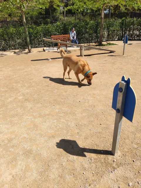 Dog Park Parque Central de Valencia