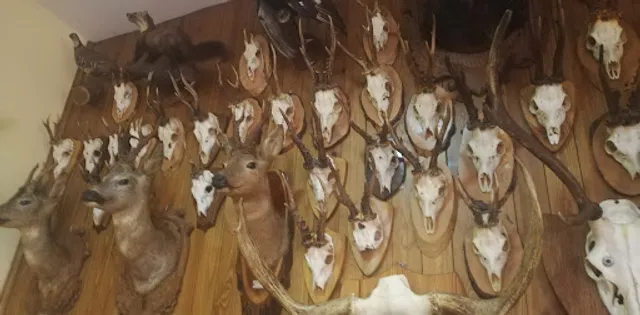 Trattoria Il Cacciatore