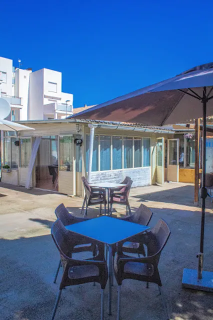 Bar Holandes Errante