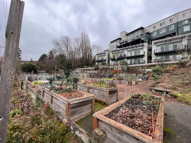 Eastlake P-Patch Community Garden