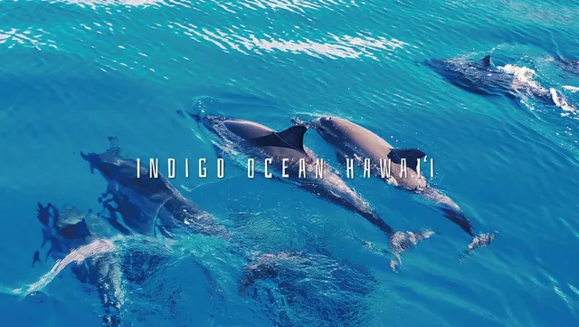 Indigo Ocean Hawaii