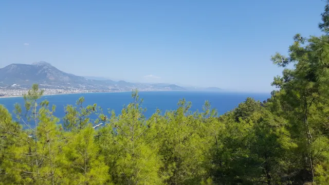 قلعة الانيا