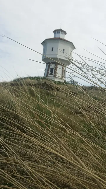 Inselresidenz Seeschwalbe
