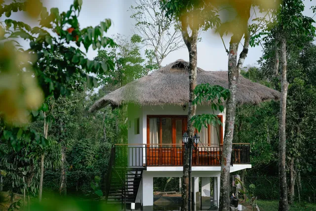 Allison the tribe resort