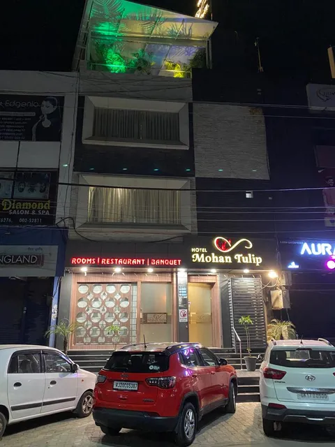 Hotel Mohan Tulip ( Oliive-the roof top lounge)