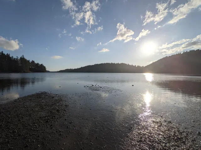 Chuckanut Pocket Estuary