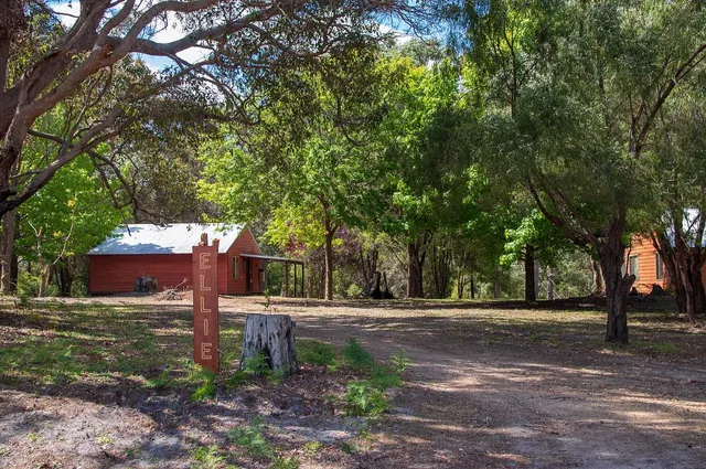 Stargazers Forest Hideaway