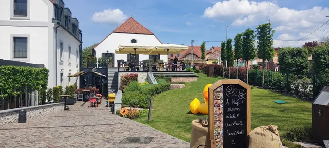 Malom és Kacsa Bistro - Events