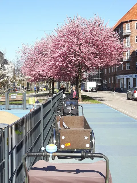 Sønder Boulevard Trinidad-legepladsen