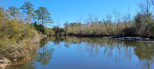 Onslow County Parks: Oakhurst Landing and Nature Trail