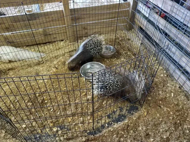 Warren County A&L Fair