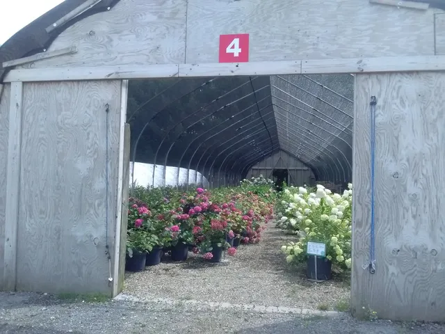 Boyle's Nursery & Landscaping