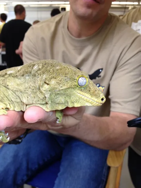 New York Metro Reptile Expo