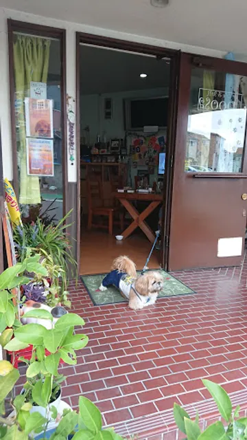 ドッグカフェ高槻angel noosa