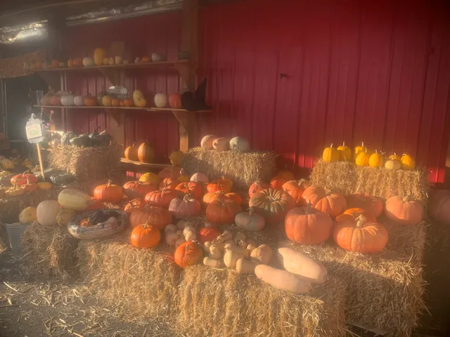 Phil’s Farm Market