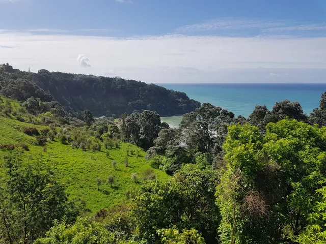 Ohope Lookout