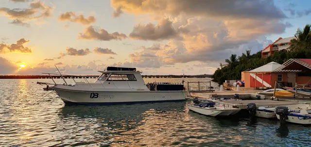 Dive Bermuda - Grotto Bay