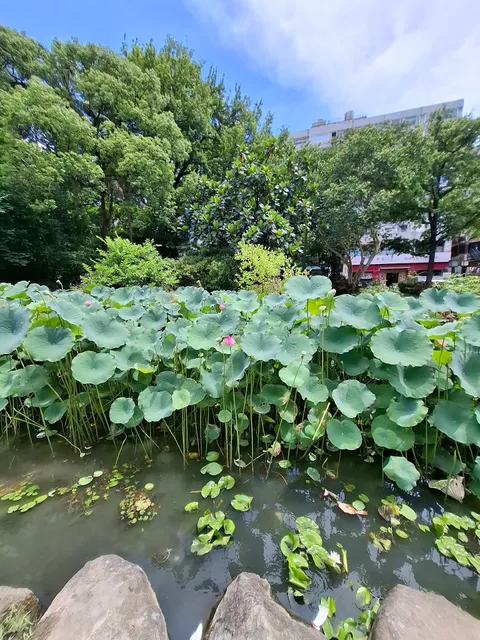 北投公園溜冰場