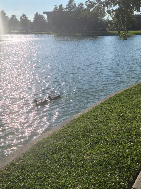 Downtown Event Centre