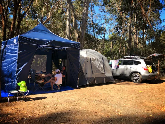 Candlebark camping area